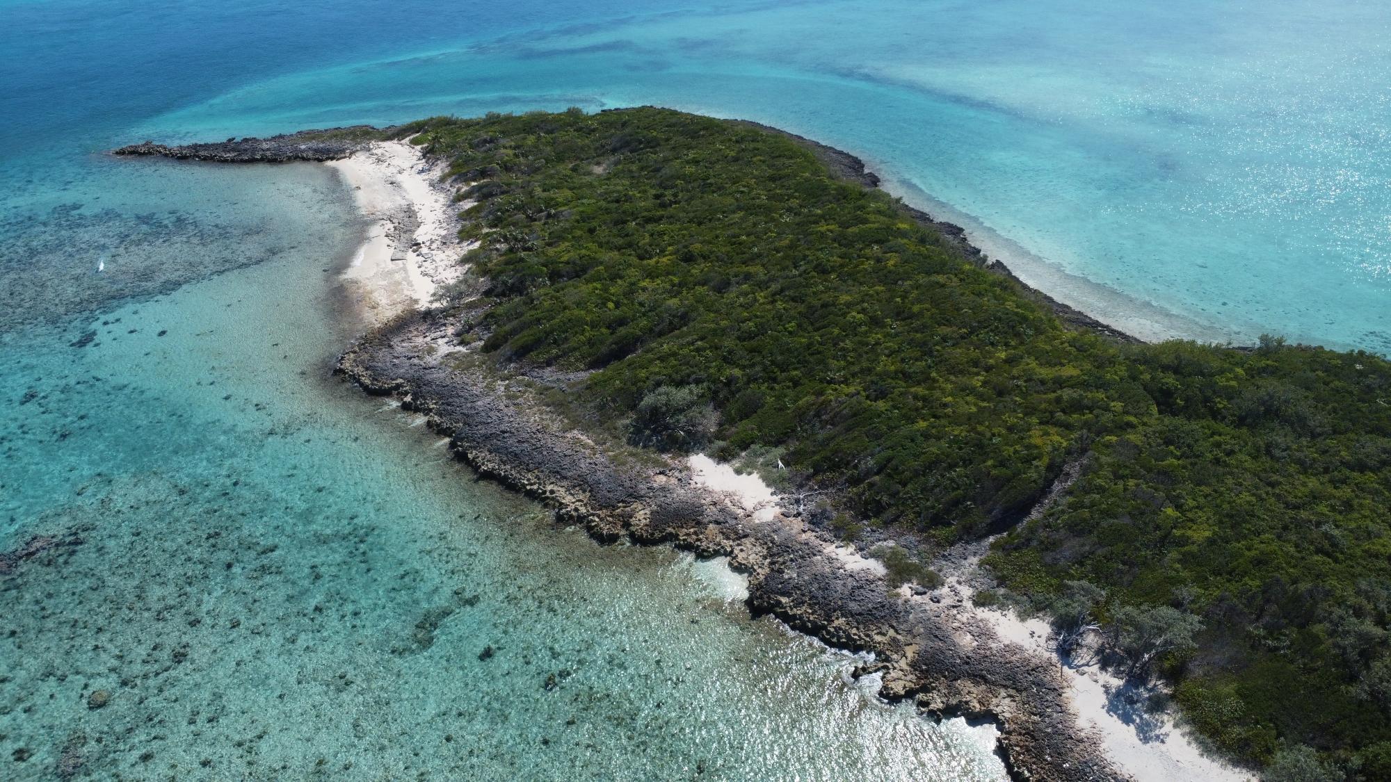 Click to view the listing