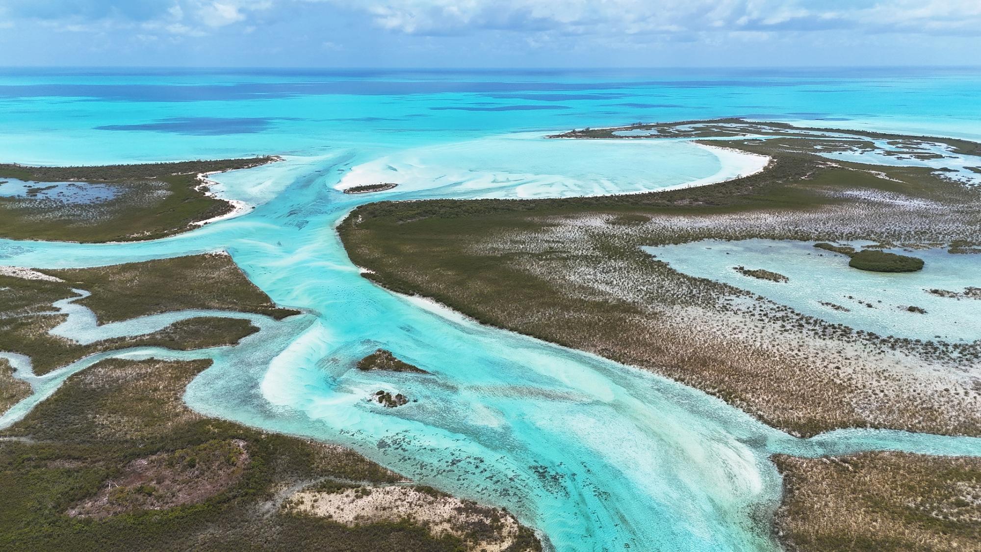 Click to view the listing